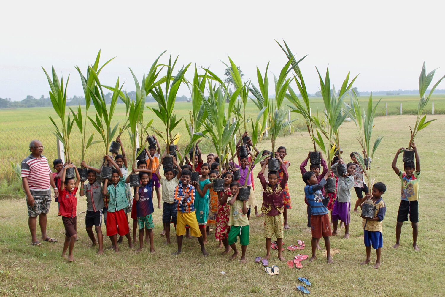 Santal children holding coconut saplings overhead in a field with a teacher