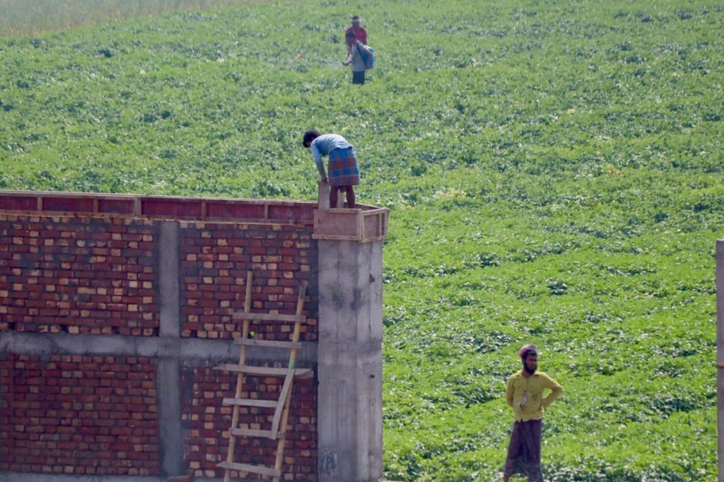 Workers building a brick wall on the newly purchased campus land beside green fields