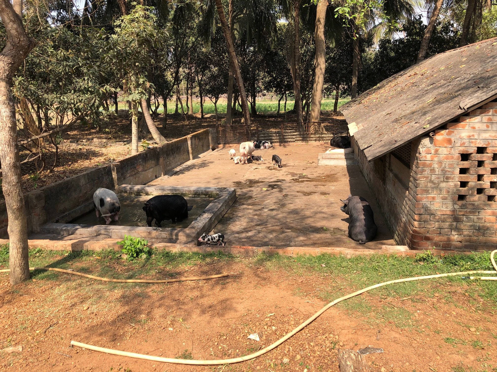 Chamrusai-4