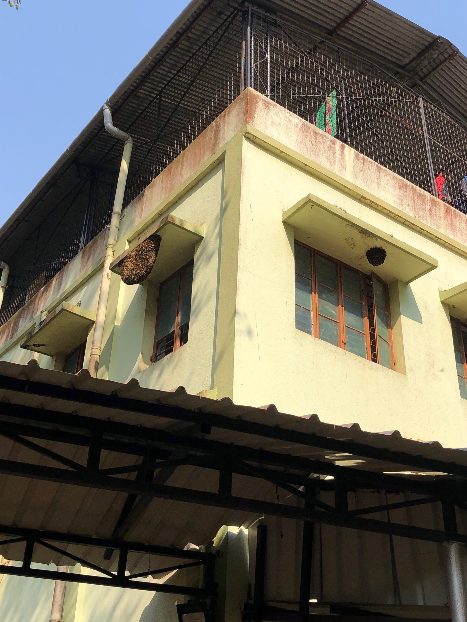 Chamrusai-5